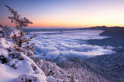 Mount LeConte Winter (Scott Hotaling) - 9th Annual People's Choice Award