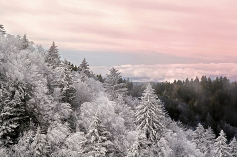 Mountain Calm (Scott Hotaling), 5th Annual AMPC People's Choic Award