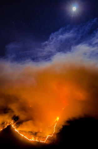 Table Rock Fire (Lynn Willis), 11th Annual AMPC People's Choice Award