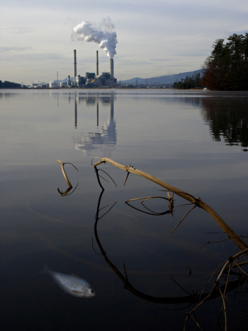 Coal Kills (J.K. York)